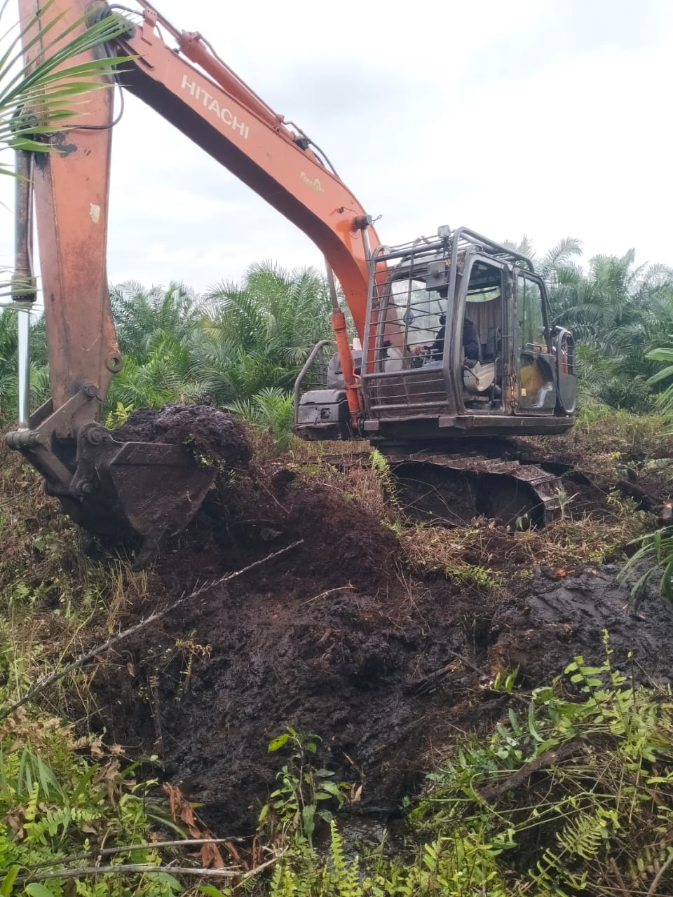 Land Clearing