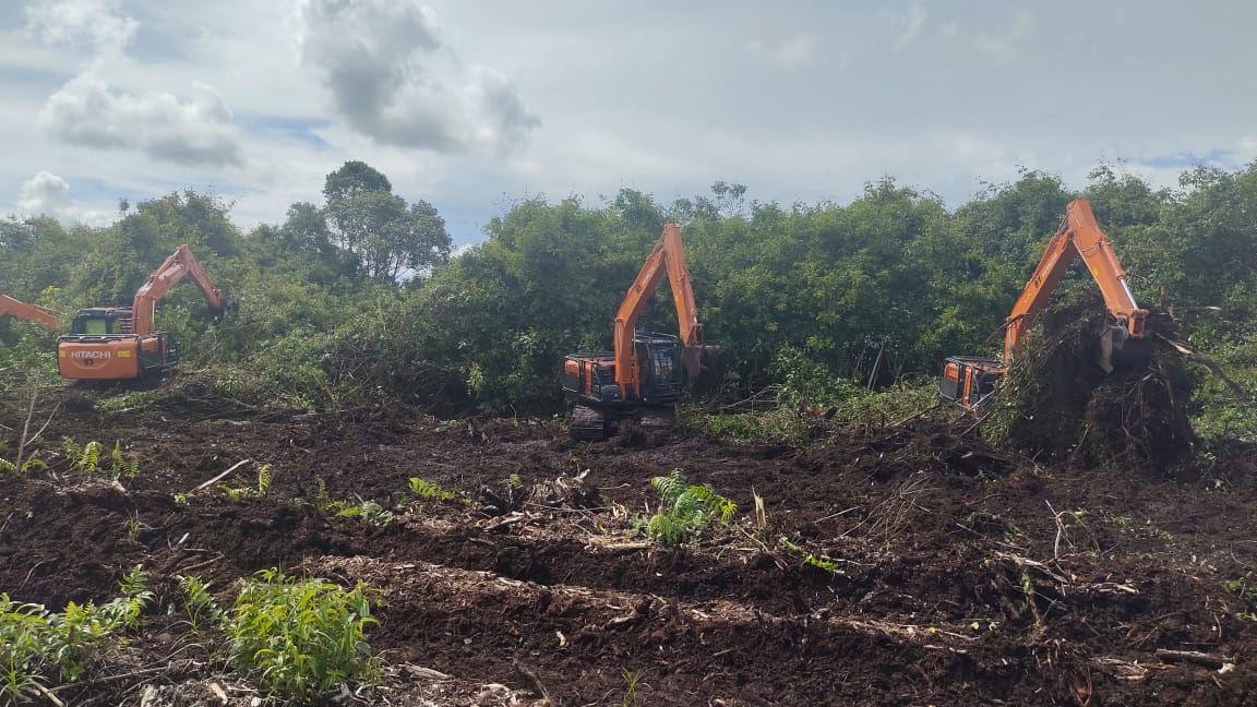 Land Clearing